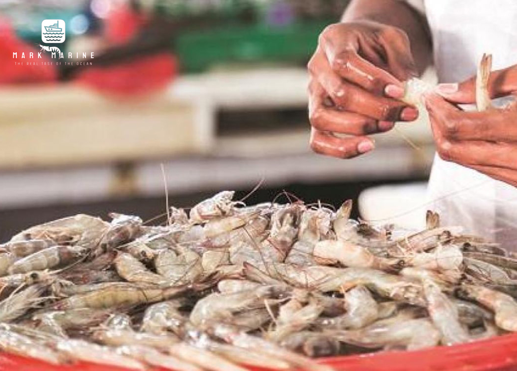 Sustainable Fishing