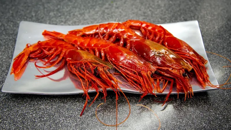 Whiteleg Shrimp