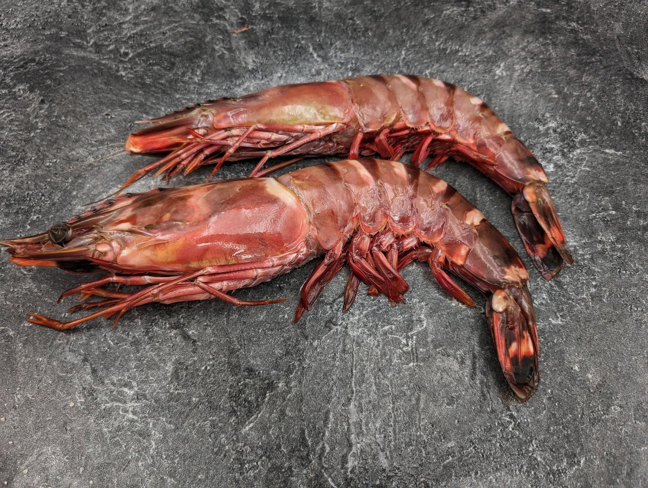 Rock Shrimp